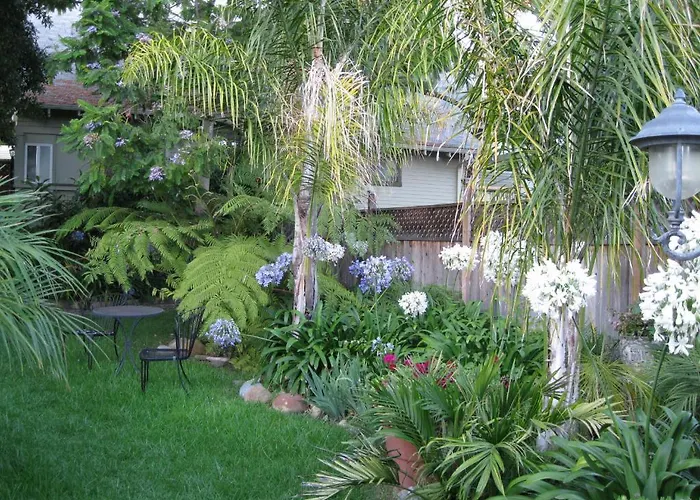 B&B only: A White Jasmine Inn